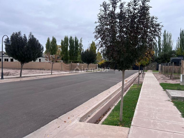 Terreno en Venta en Lujan de Cuyo, Mendoza