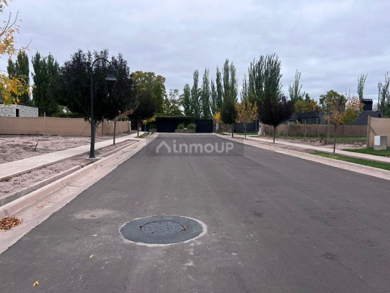 Terreno en Venta en Lujan de Cuyo, Mendoza