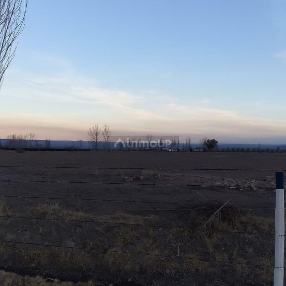 Finca en Venta en San Carlos, Mendoza