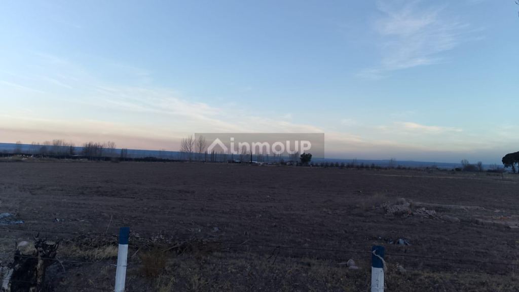 Finca en Venta en San Carlos, Mendoza