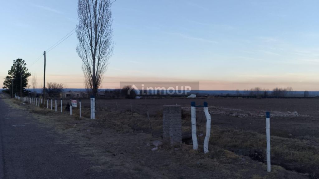 Finca en Venta en San Carlos, Mendoza