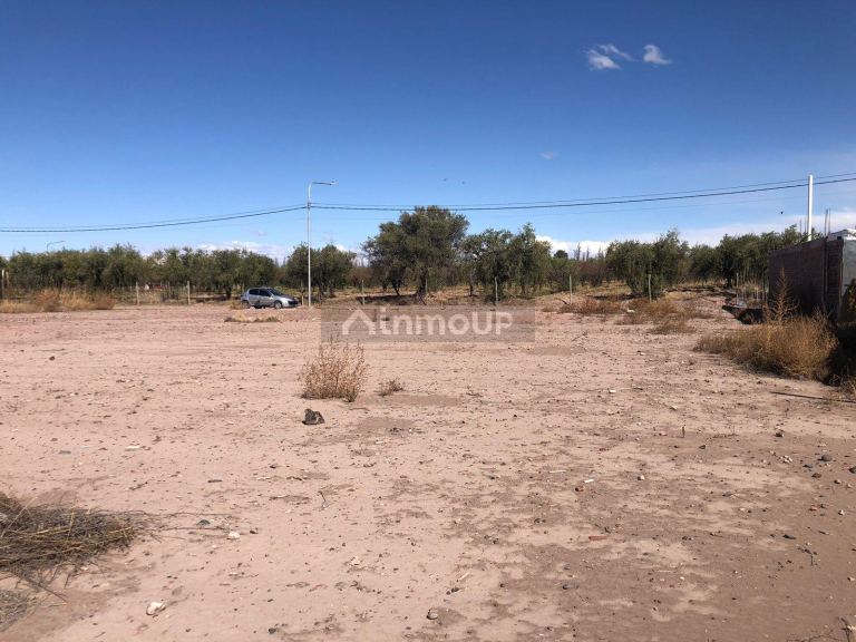 Terreno en Venta en Maipu, Mendoza