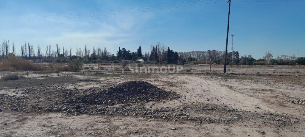 Terreno en Venta en Maipu, Mendoza