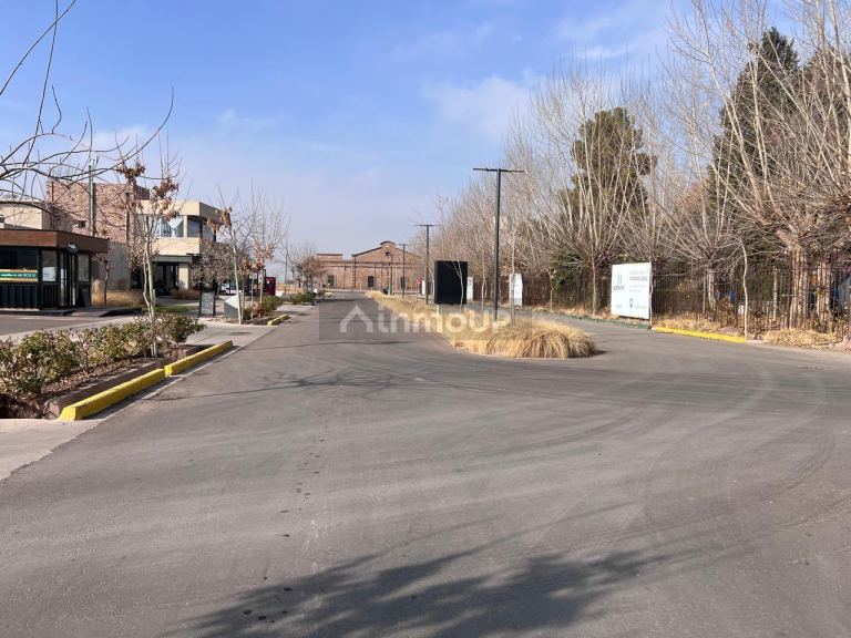 Terreno en Venta en Lujan de Cuyo, Mendoza