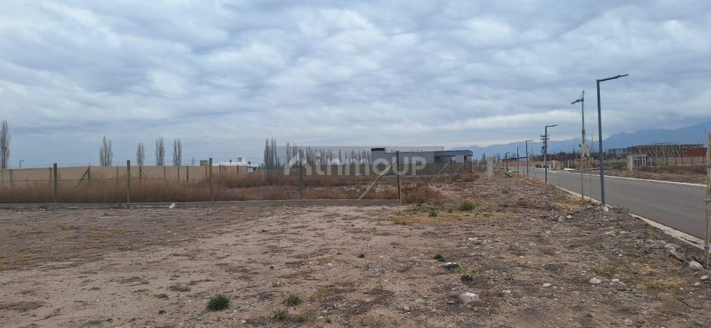 Terreno en Venta en Lujan de Cuyo, Mendoza