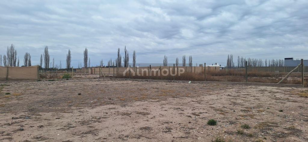 Terreno en Venta en Lujan de Cuyo, Mendoza