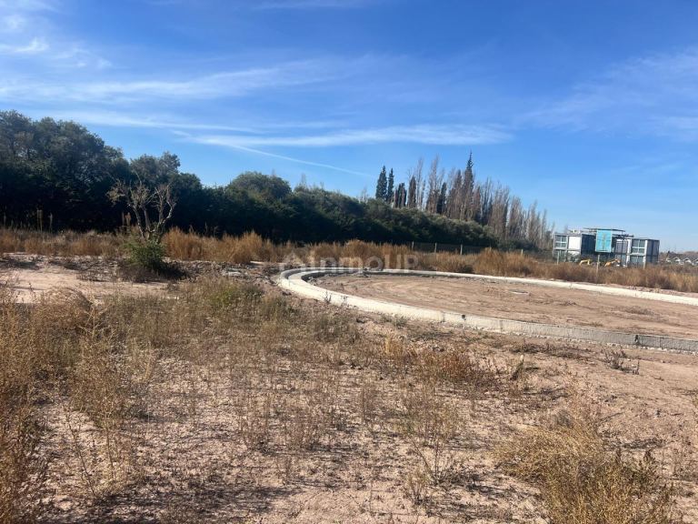 Terreno en Venta en Lujan de Cuyo, Mendoza