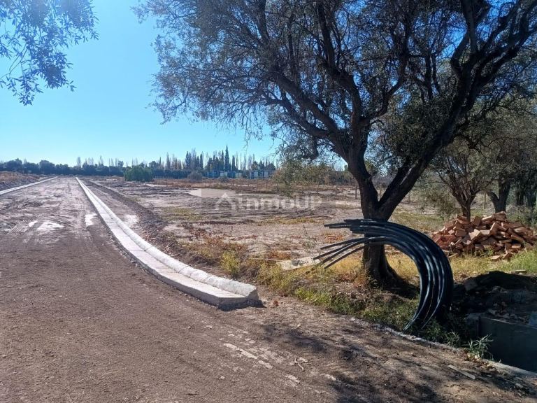 Terreno en Venta en Lujan de Cuyo, Mendoza