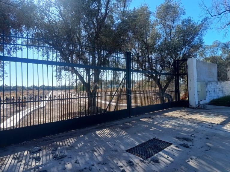 Terreno en Venta en Lujan de Cuyo, Mendoza