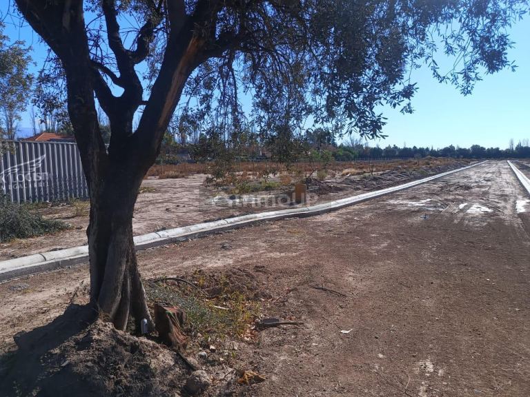 Terreno en Venta en Lujan de Cuyo, Mendoza