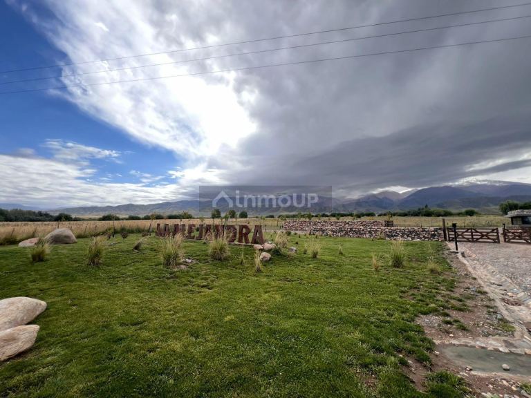 Terreno en Venta en Tupungato, Mendoza