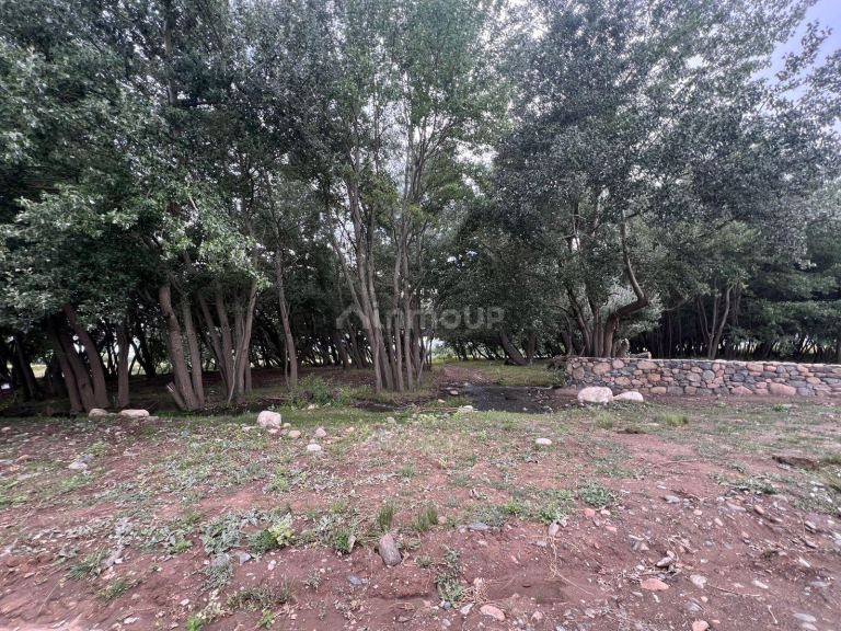 Terreno en Venta en Tupungato, Mendoza