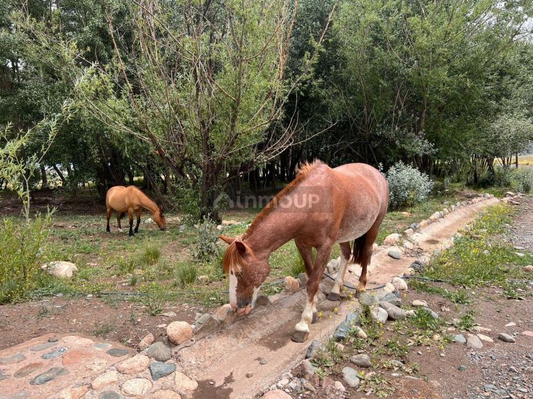 Terreno en Venta en Tupungato, Mendoza