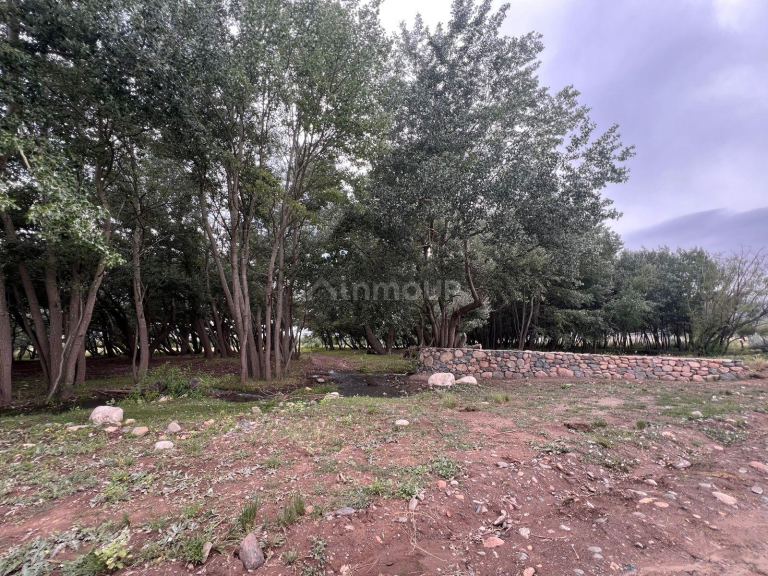 Terreno en Venta en Tupungato, Mendoza
