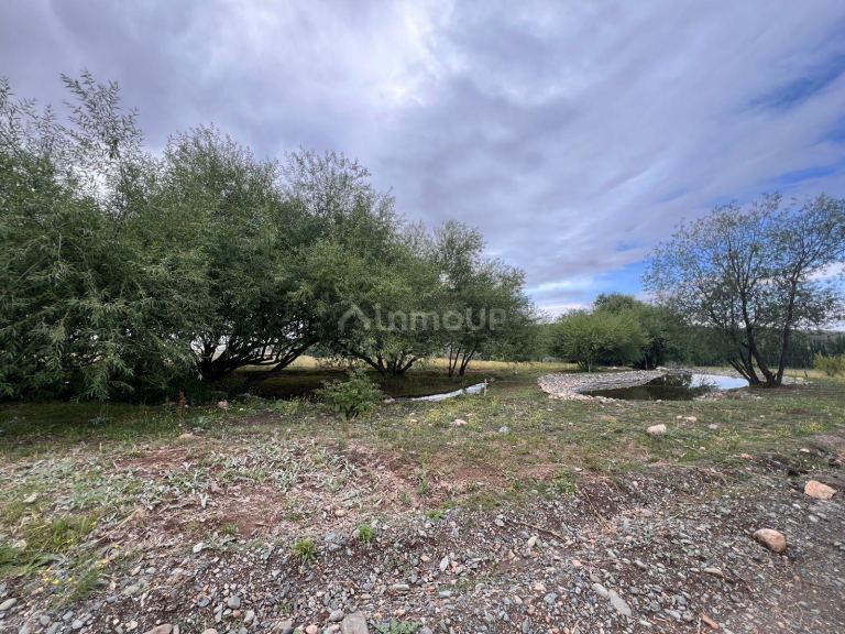 Terreno en Venta en Tupungato, Mendoza