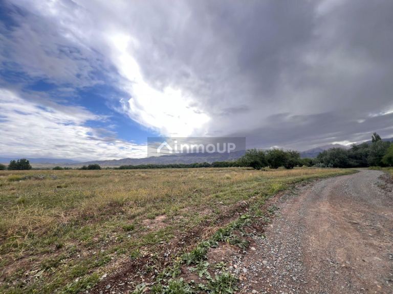 Terreno en Venta en Tupungato, Mendoza