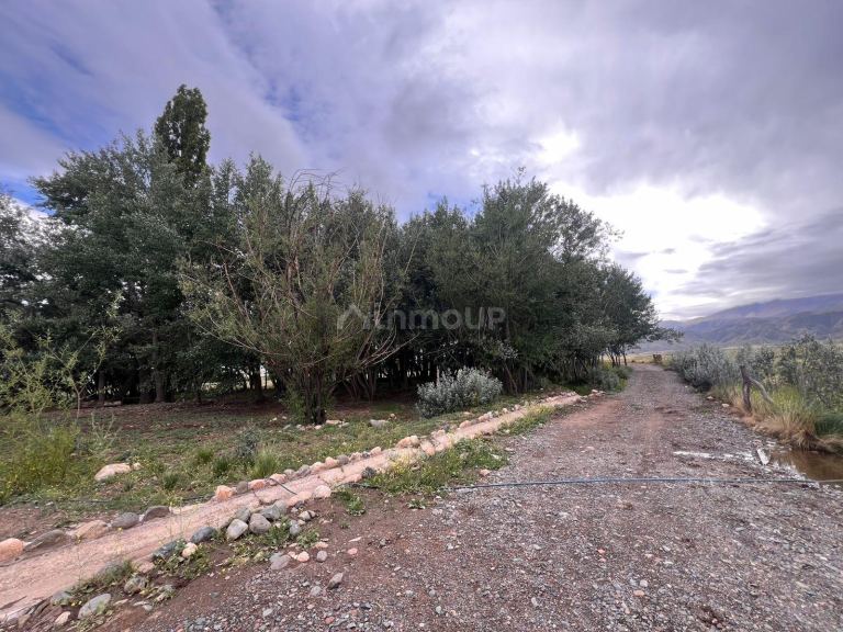 Terreno en Venta en Tupungato, Mendoza