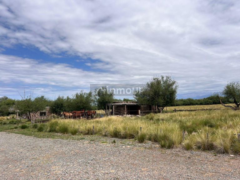 Terreno en Venta en Tupungato, Mendoza