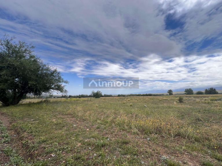 Terreno en Venta en Tupungato, Mendoza