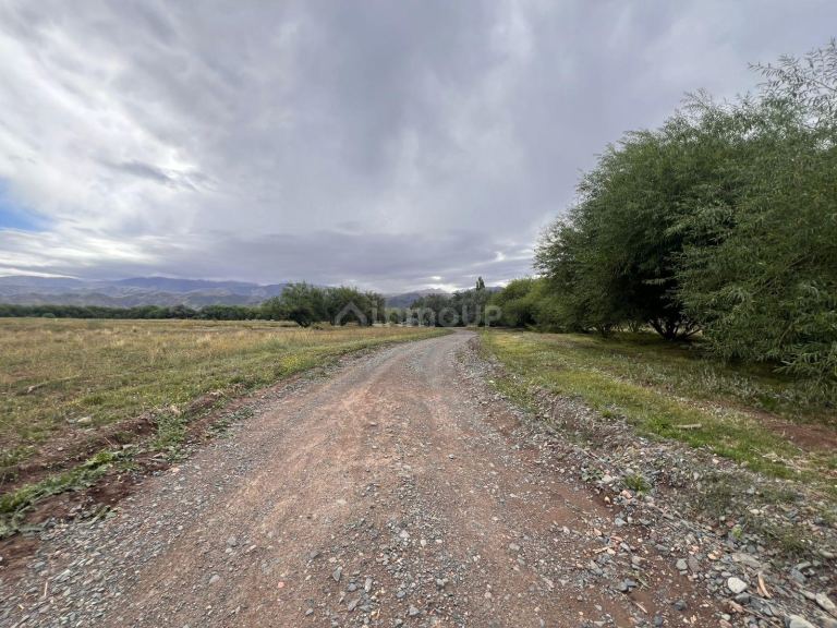 Terreno en Venta en Tupungato, Mendoza