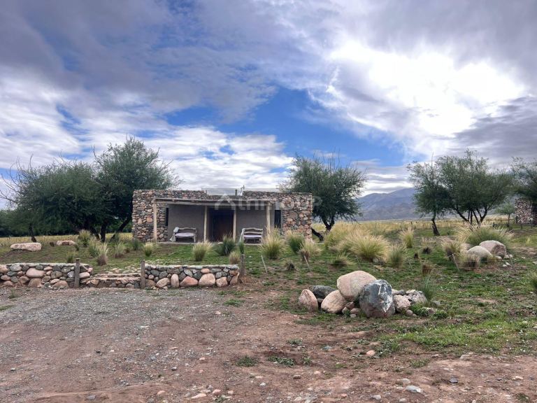 Terreno en Venta en Tupungato, Mendoza