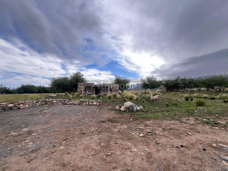 Terreno en Venta en Tupungato, Mendoza