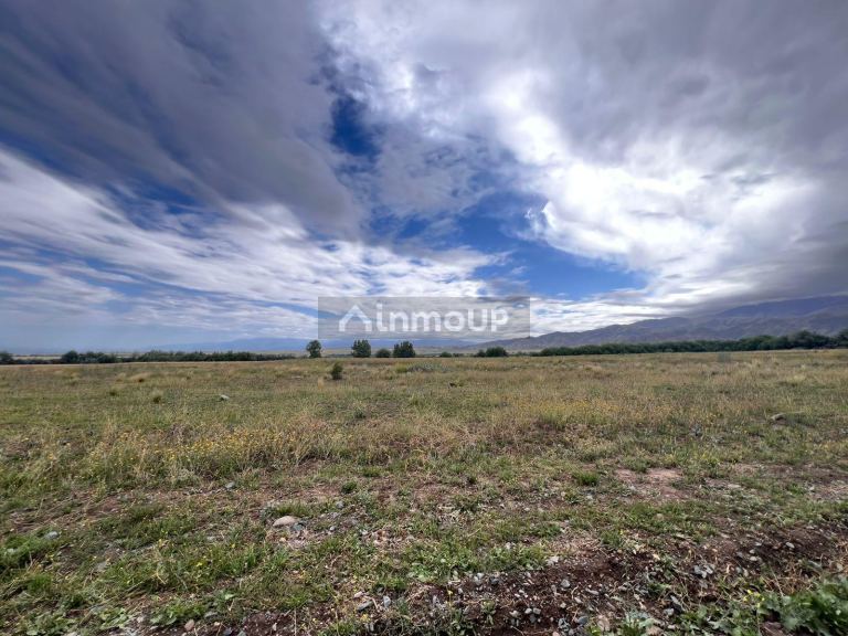 Terreno en Venta en Tupungato, Mendoza