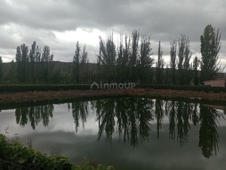 Finca en Venta en Lujan de Cuyo, Mendoza