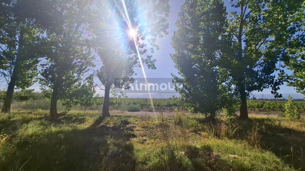 Terreno en Venta en Maipu, Mendoza