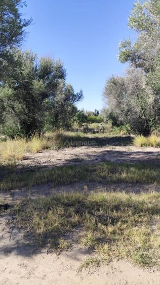 Terreno en Venta en Maipu, Mendoza