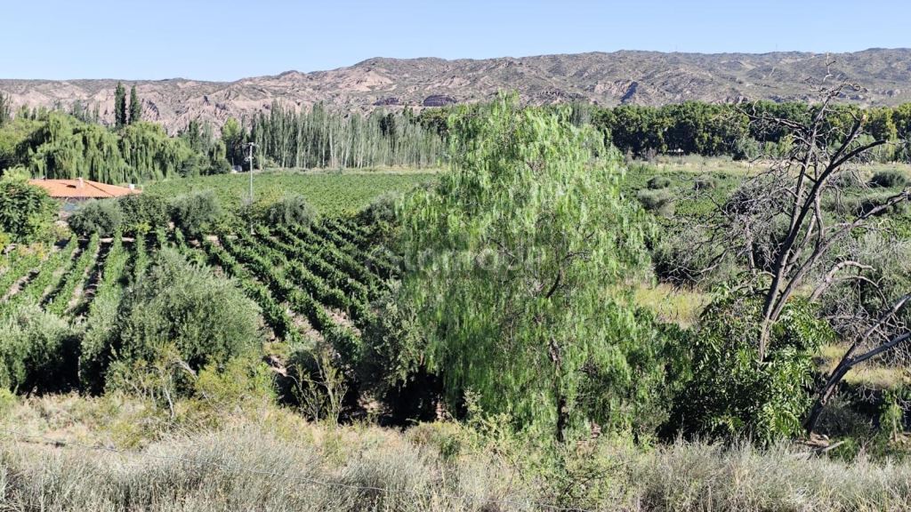 Terreno en Venta en Maipu, Mendoza