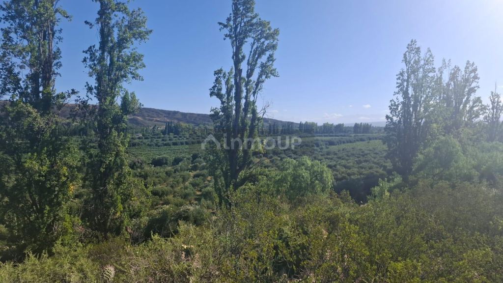 Terreno en Venta en Maipu, Mendoza