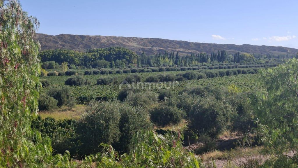 Terreno en Venta en Maipu, Mendoza