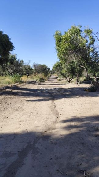 Terreno en Venta en Maipu, Mendoza