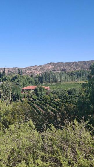 Terreno en Venta en Maipu, Mendoza