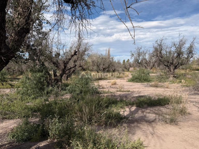 Terreno en Venta en Guaymallen, Mendoza