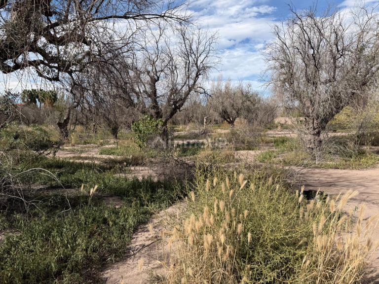 Terreno en Venta en Guaymallen, Mendoza