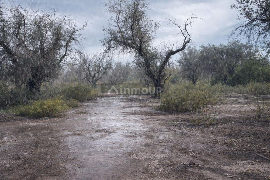 Terreno en Venta en Guaymallen, Mendoza