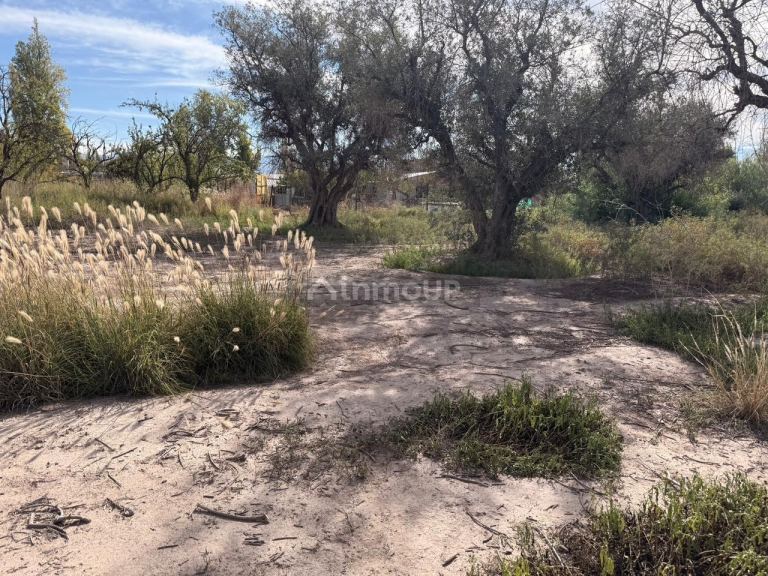 Terreno en Venta en Guaymallen, Mendoza