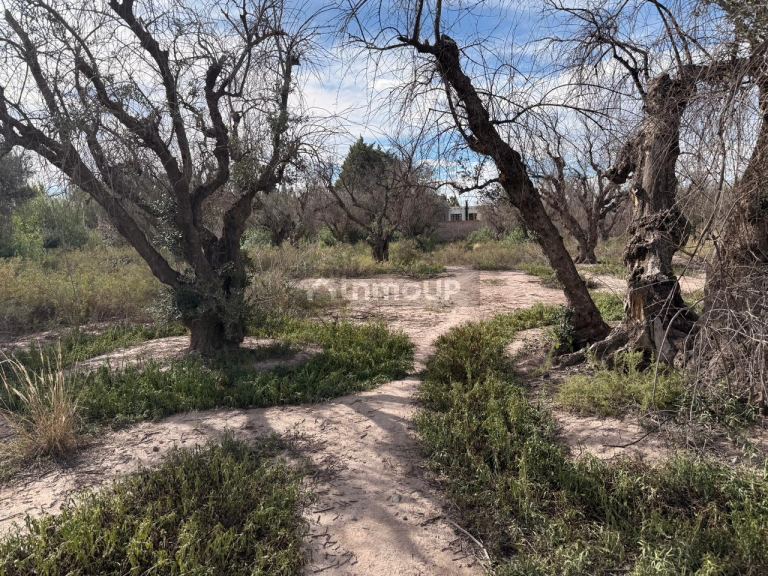 Terreno en Venta en Guaymallen, Mendoza