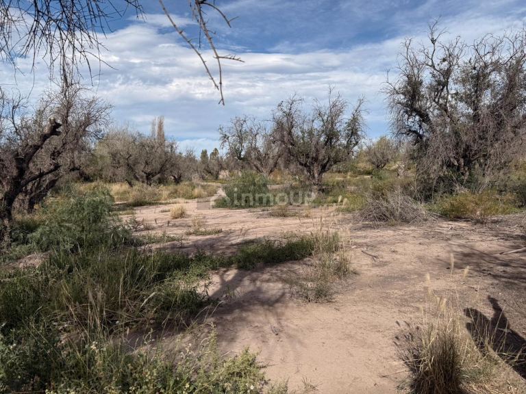 Terreno en Venta en Guaymallen, Mendoza