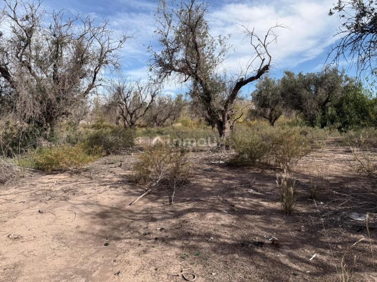 Terreno en Venta en Guaymallen, Mendoza