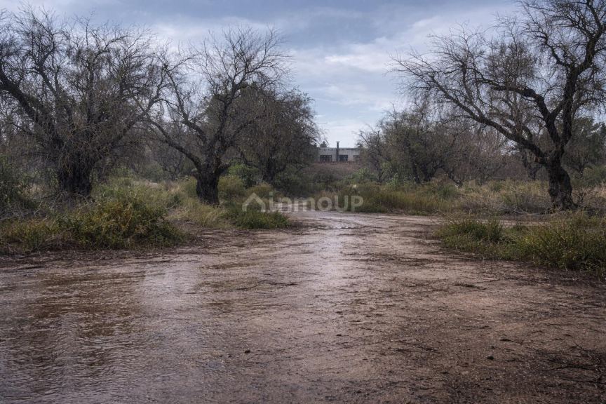 Terreno en Venta en Guaymallen, Mendoza