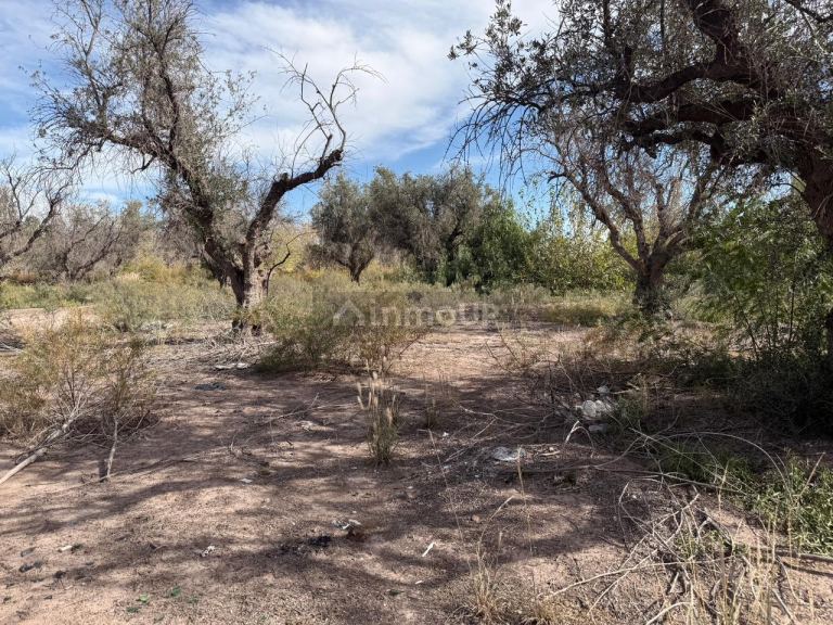 Terreno en Venta en Guaymallen, Mendoza