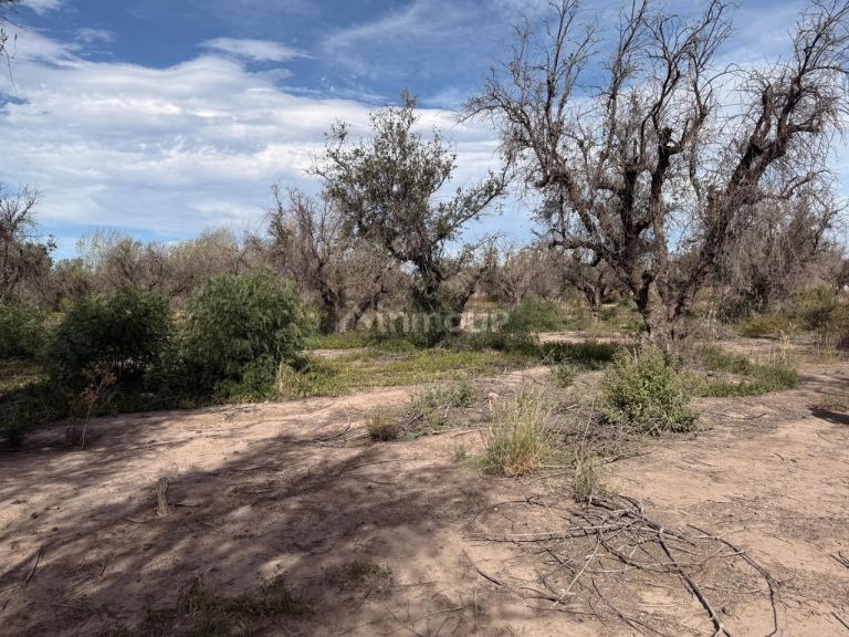 Terreno en Venta en Guaymallen, Mendoza