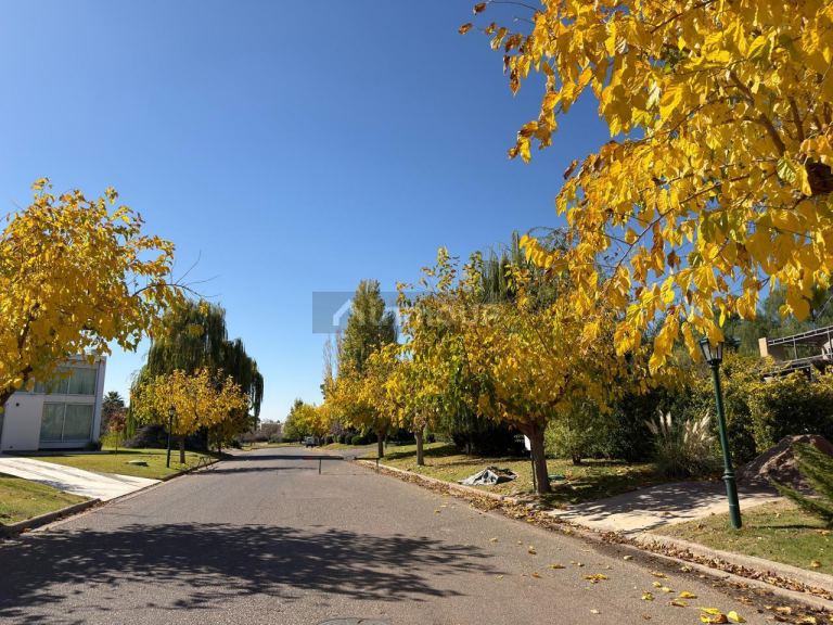 Terreno en Venta en Maipu, Mendoza
