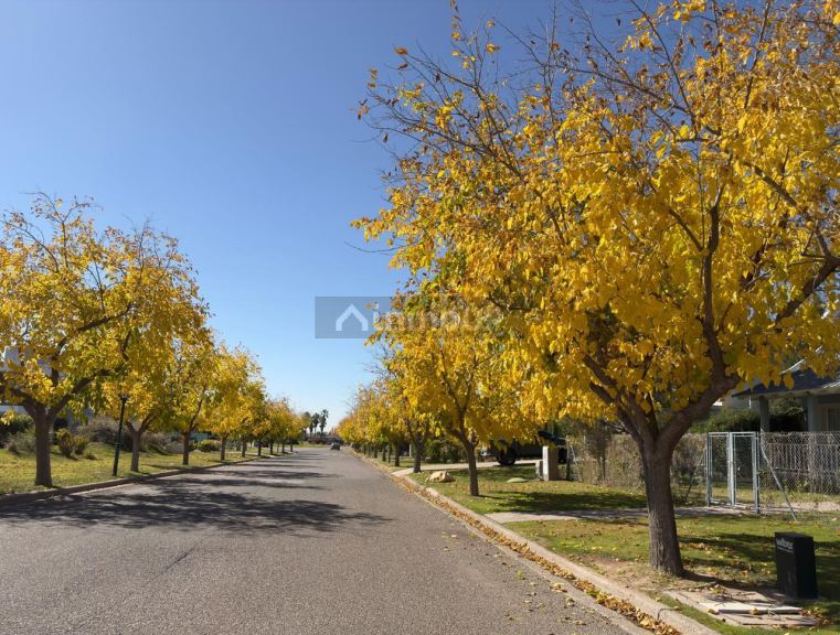 Terreno en Venta en Maipu, Mendoza
