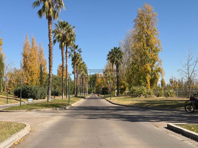 Terreno en Venta en Maipu, Mendoza