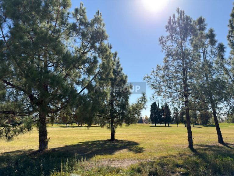 Terreno en Venta en Maipu, Mendoza