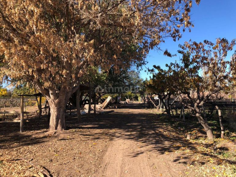 Finca en Venta en Lujan de Cuyo, Mendoza